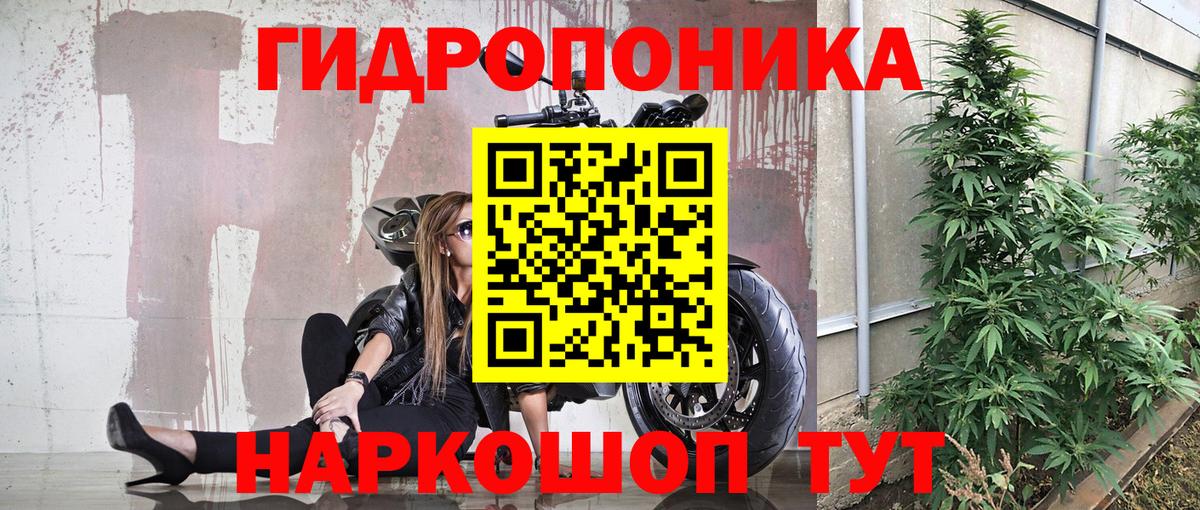Тельмана  Бошки марихуана LSD WEED  МАРИХУАНА OG Kush  Бошки Шишки семена  Вход с VPN  Каннабис Bruce Banner 